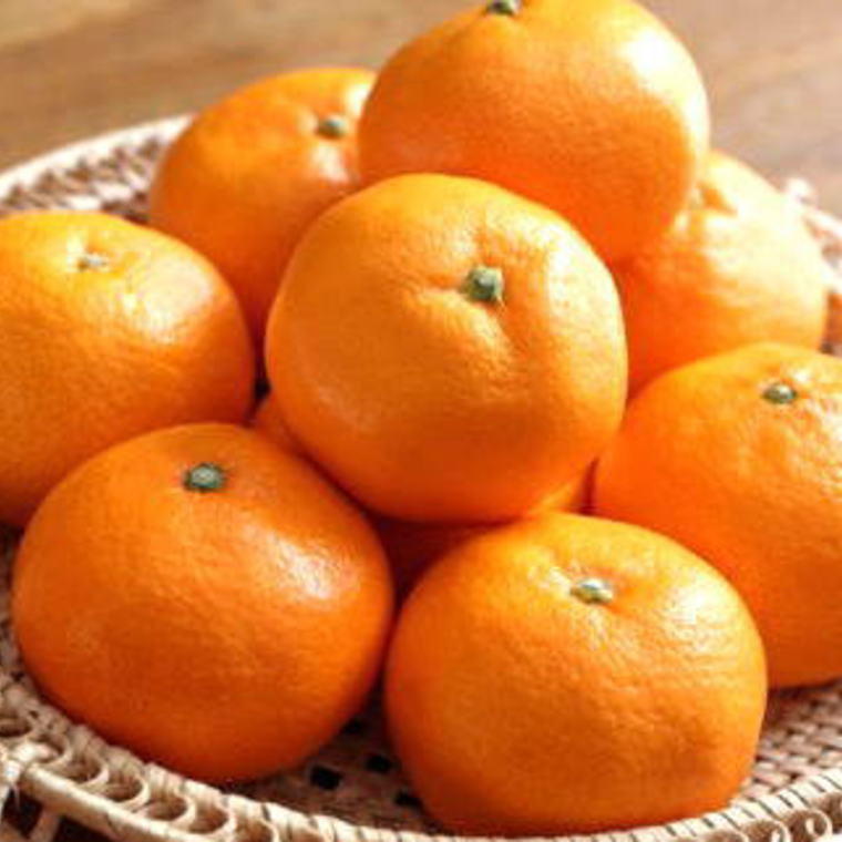 【ふるさと納税】【秀品】 有田ブランド 賢みかん 5kg （Mサイズ） 【ミカン 蜜柑 柑橘 温州みかん 有田みかん】