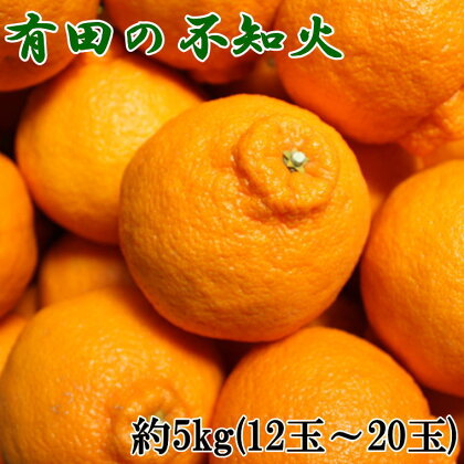 【濃厚】有田の 不知火 約5kg（12玉～20玉おまかせ）【でこぽん デコポン しらぬい 不知火 柑橘】