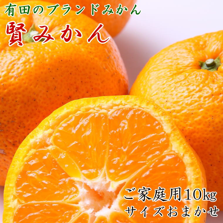 [先行予約][家庭用]有田ブランド 賢みかん 10kg(S〜Lサイズおまかせまたは混合)[2024年11月中旬より順次発送][ミカン 蜜柑 柑橘 温州みかん 有田みかん]