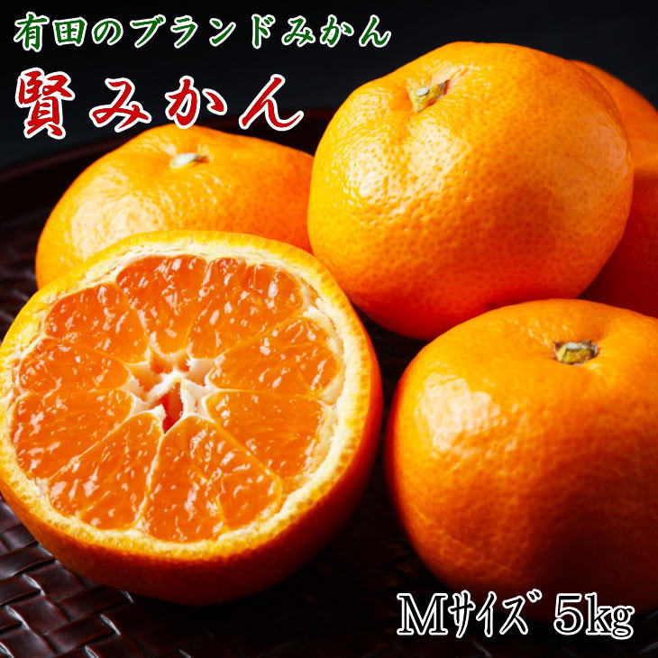 【ふるさと納税】【秀品】 有田ブランド 賢みかん 5kg （Mサイズ） 【ミカン 蜜柑 柑橘 温州みかん 有田みかん】