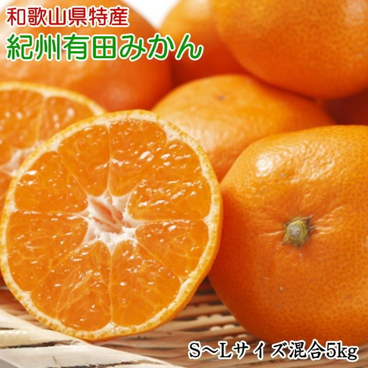 【ふるさと納税】【限定】 和歌山有田みかん 5kg(S~Lサイズ混合・秀品)【ミカン 蜜柑 柑橘 温州みかん 有田みかん】