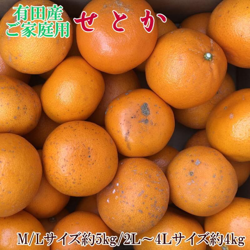 【ふるさと納税】【2026年先行予約】【限定】 一度は食べていただきたい 有田産のせとか 【訳あり 