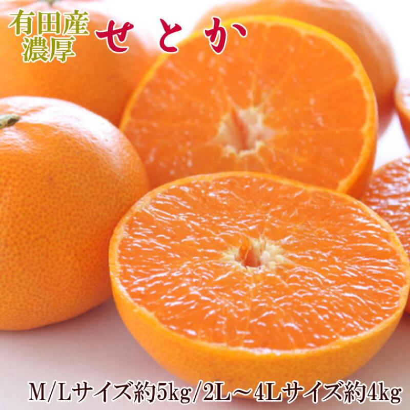 香りが良く、濃厚な甘みが詰まったとろけるような食感。一度食べるとやみつきになるほどの美味しさです。せとかは、清見オレンジとアンコールオレンジにマーコットオレンジを交配してできた柑橘です。何といっても、香りがよくジューシーで、また、皮も薄いので食べやすく、甘味も強くて濃厚な味わいです。今まで、メディアなどでも取り上げられた柑橘ですので、是非とも、ご賞味下さい。 名称 【ふるさと納税】一度は食べていただきたい 有田産のせとか 4～5kg（サイズおまかせ） 内容量 約4kg～5kg（M～4Lサイズおまかせ。2L以上は約4kg入りとなります / 青秀以上） アレルギー なし 原産地 和歌山県有田産 消費期限 常温で7日程度 保存方法 生もの(農産物)ですので、なるべく涼しく風通しの良い場所で保管し、できるだけお早めにお召し上がりください。 配送方法 常温配送 発送時期 2025年2月10日～3月10日頃順次発送予定 注意事項 ※画像はイメージです。※到着希望日（時期）・ご不在日等のご指定は、お受けすることができません。※生育状況によりお届け時期が多少前後する場合がございます。※若干、果皮に生育途中の傷あとのついた果実も入る場合があります。※果実ゆえ、味は収穫する木や実っている箇所によっても異なります。※M～4Lサイズのいずれかのサイズでのお届けとなります。お選びいただません。※配送上の取り扱い等で果実がつぶれたりする場合がございます。 地場産品基準 4号：返礼品等を提供する市区町村の区域内において生産されたものであって、近隣のほかの市区町村の区域内において生産されたものを混在したもの（流通構造上、混在することが避けられない場合に限る。）であること。 事業者 和歌山厳選館 ・ふるさと納税よくある質問はこちら ・寄附申込みのキャンセル、返礼品の変更・返品はできません。あらかじめご了承ください。【ふるさと納税】一度は食べていただきたい 有田産のせとか 4〜5kg（サイズおまかせ） 【注文内容確認画面の「注文者情報」を寄附者の住民票情報とみなします】・必ず氏名・住所が住民票情報と一致するかご確認ください。・受領書は住民票の住所に送られます。・返礼品を住民票と異なる住所に送付したい場合、注文内容確認画面の「送付先」に返礼品の送付先をご入力ください。寄附者の都合で返礼品が届けられなかった場合、返礼品等の再送はいたしません。※「注文者情報」は楽天会員登録情報が表示されますが、正確に反映されているかご自身でご確認ください。
