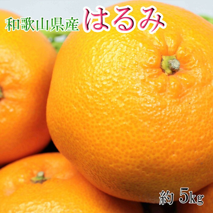 【ふるさと納税】【先行予約】【大玉】 和歌山県産 はるみ 5kg (3L〜5Lサイズおまかせ) 【訳あり ご家庭用 】【ハルミ 春見 ミカン 蜜柑 柑橘 和歌山】