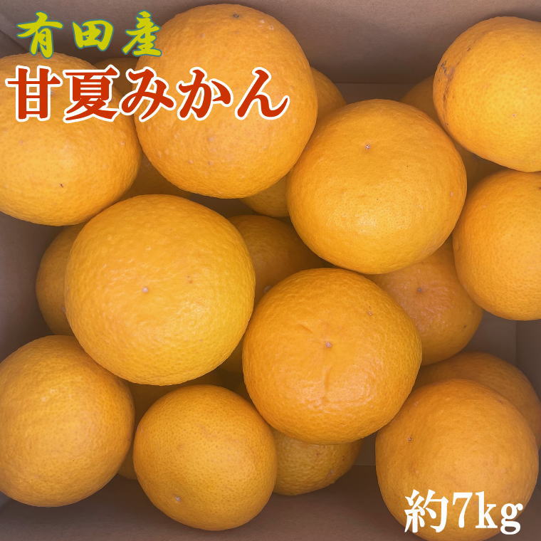 有田産甘夏みかん約7kg(サイズ混合)[甘夏みかん 和歌山県湯浅町]