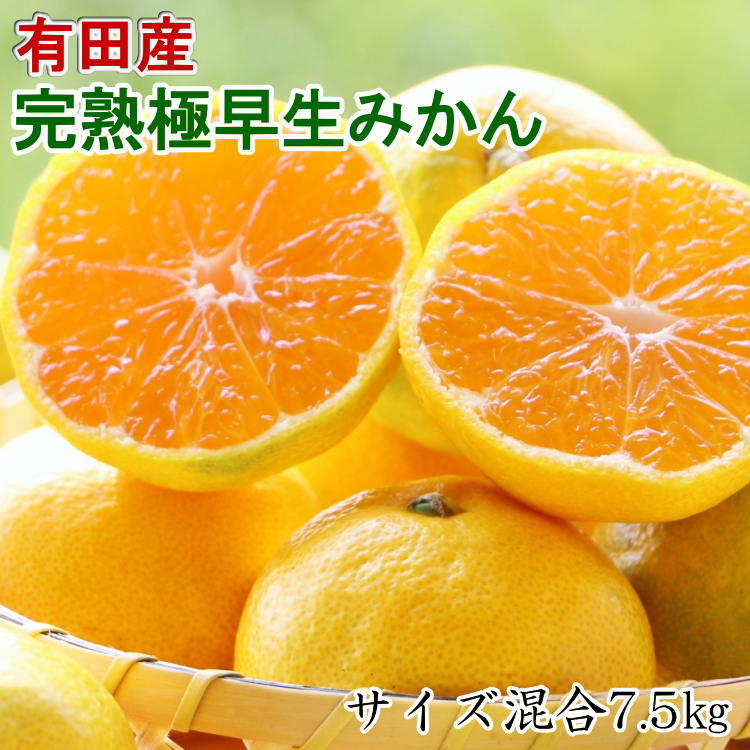 [2025年先行予約][手選別]紀州 有田の 完熟 極早生みかん 7.5kg(サイズ混合)[ミカン 蜜柑 柑橘 温州みかん わせみかん]