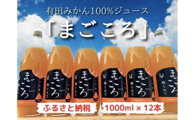 26位! 口コミ数「0件」評価「0」「まごころ」有田みかん 100％ ジュース 1000ml 12本 セット【和歌山 ミカンジュース ストレート 果汁100%】