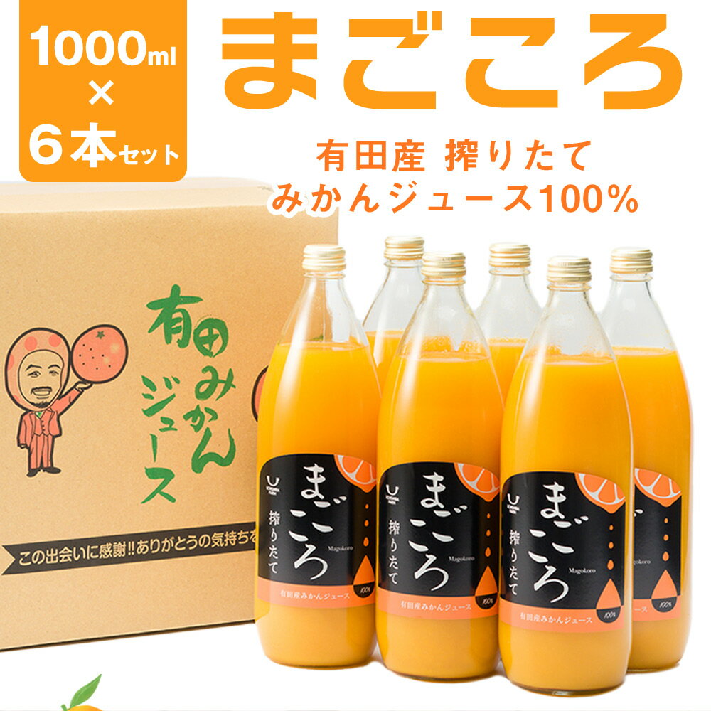 【ふるさと納税】「まごころ」有田みかん 100％ ジュース 1000ml 6本 セット【和歌山 ミカンジュース ストレート 果汁100%】