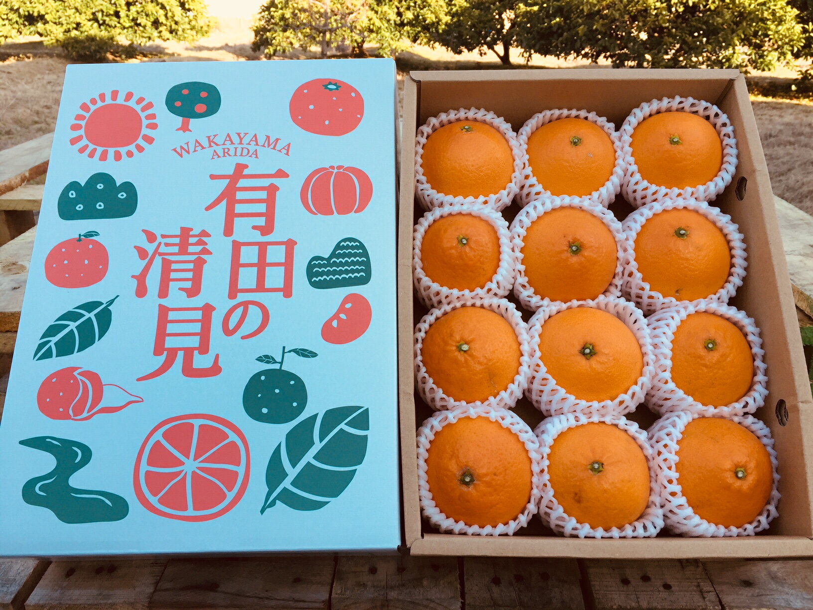 【ふるさと納税】【2026年先行予約】和歌山県産 有田の 清見 化粧箱入り 2Lサイズ 12個入り（まごころ手選別）
