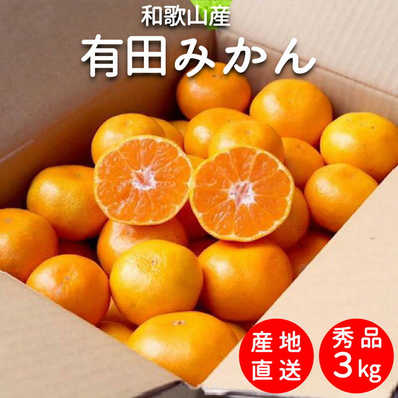 おトク】 国産 バレンシアオレンジ 3kg