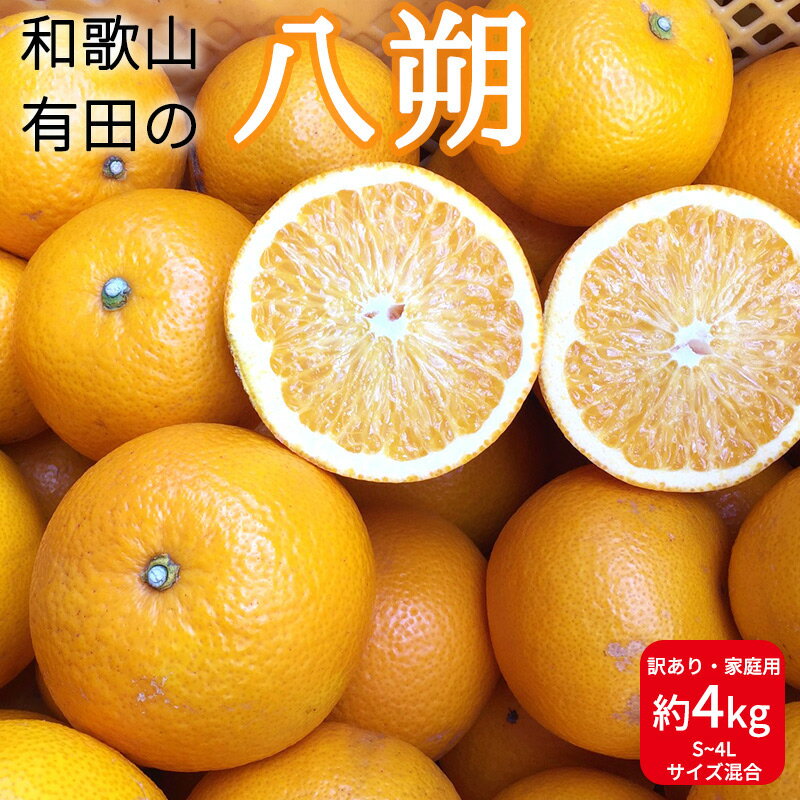 [先行予約]和歌山県産 有田の 八朔 (はっさく) [訳あり 家庭用] 4kg (S〜4Lサイズ混合) [まごころ手選別][はっさく ハッサク 八朔 和歌山産]