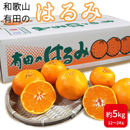 【先行予約】和歌山県産 有田の はるみ 5kg 12玉～24玉 【まごころ手選別】【ハルミ 春見 ミカン 蜜柑 柑橘 和歌山 有田】