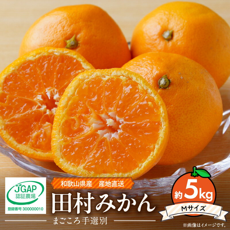 【ふるさと納税】【楽天限定】 和歌山 湯浅町産 田村みかん 5kg【Mサイズ】【ミカン 蜜柑 柑橘 温州みかん 有田みかん 和歌山】のサムネイル