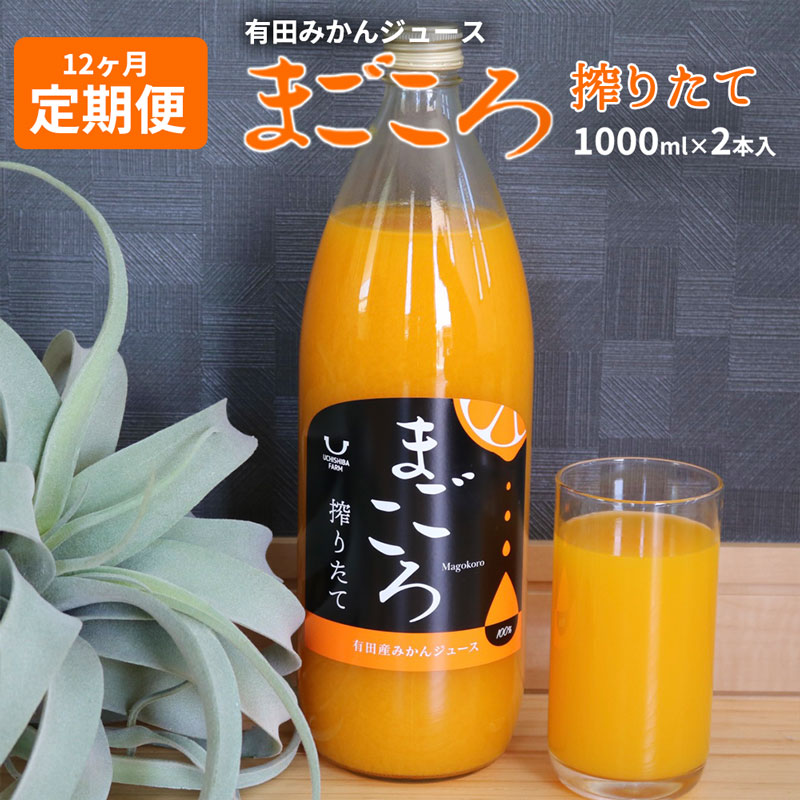 【ふるさと納税】【定期便】有田みかん ジュース 1000ml 2本入り (毎月1回、12ヶ月間お届け)【まごころ】【和歌山 ミカンジュース ストレート 果汁100% セット 頒布会】のサムネイル