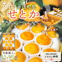 【ふるさと納税】【2026年先行予約】湯浅町産 せとか 11~15玉 (M~2Lサイズ混合) 化粧箱入り 秀品 【まごころ手選別】 【ミカン 蜜柑 春みかん 柑橘 和歌山 有田】(4)