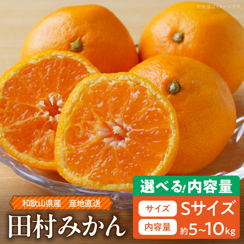 【ふるさと納税】【限定】 【2025年先行予約】 和歌山 湯浅町産 田村みかん 選べる 容量 5kg 10kg Sサイズ ミカン 蜜柑 柑橘 温州みかん 有田みかん 和歌山