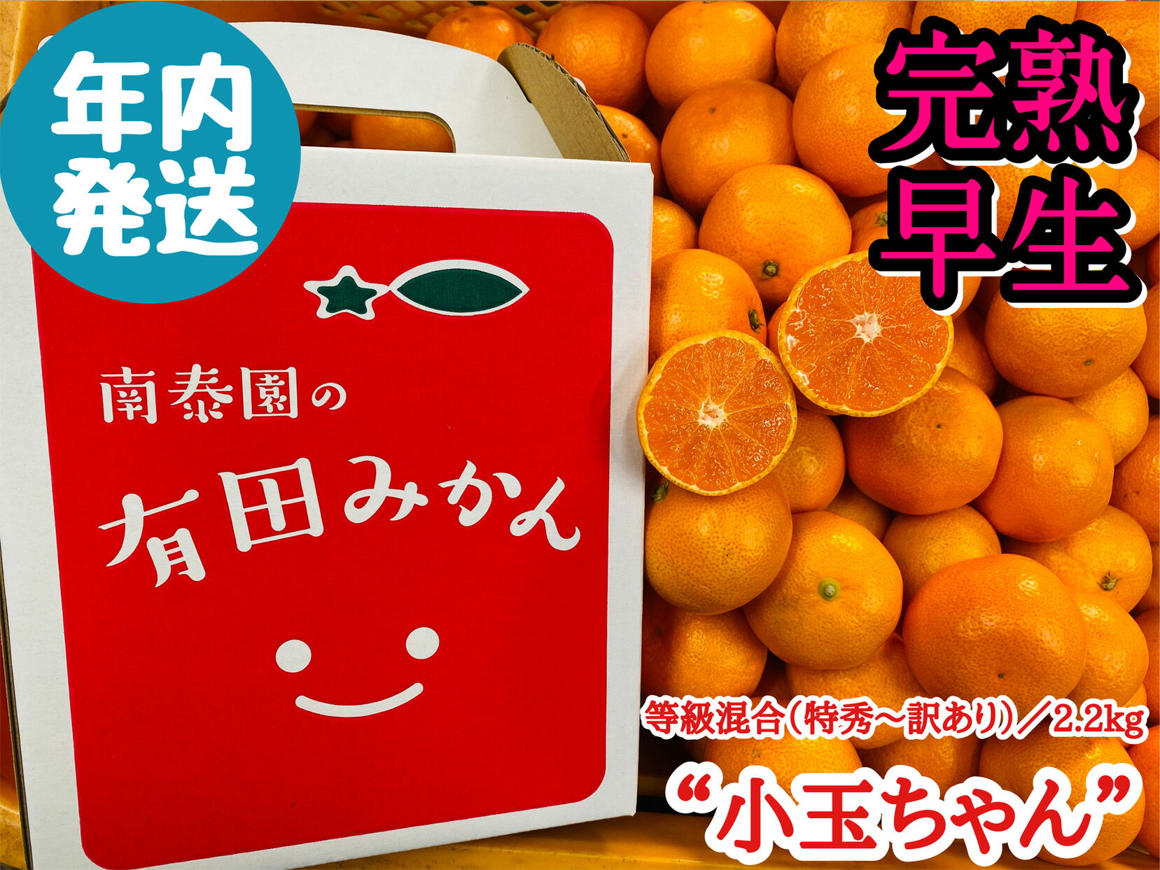 【ふるさと納税】≪年内発送≫【完熟早生・有田みかん】“小玉ちゃん”／等級混合・約2.2kg【≪年内発送≫【完熟早生・有田みかん】“小玉ちゃん”／等級混合・約2.2kg】のサムネイル