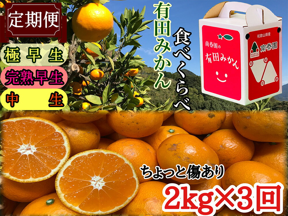 【ふるさと納税】【定期便】【ちょっと傷あり2kg×3回コース】有田みかん・食べくらべ3種【頒布会】【ミカン 蜜柑 柑橘 温州みかん 和歌山 有田】