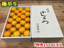【ふるさと納税】極早生 有田みかん 化粧箱 約3kg『特秀』Sサイズ45玉入【ミカン 蜜柑 柑橘 温州みかん 和歌山 有田】