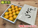 【ふるさと納税】極早生 みかん 有田 化粧箱 小箱 特秀 SSサイズ 約2kg 30玉入 南泰園【ミカン 蜜柑 柑橘 温州みかん 和歌山 有田】