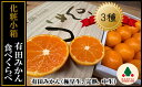 【ふるさと納税】【定期便 全3回】 有田みかん 食べくらべ 3種 化粧小箱 各約 2kg 南泰園 2025年 10月 発送開始【ミカン 蜜柑 柑橘 温州みかん 和歌山 有田】