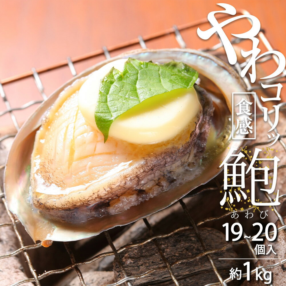 【ふるさと納税】やわコリ食感紀州活アワビ 約1kg 【19-20個入】【国産 あわび アワビ 鮑 海鮮 活】