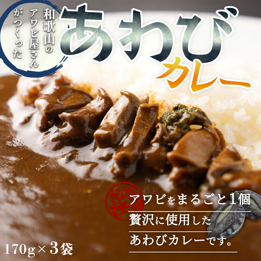 【ふるさと納税】和歌山のアワビ屋さんがつくった あわびカレー 170g 3袋【国産 あわび アワビ 鮑 海鮮 カレー】