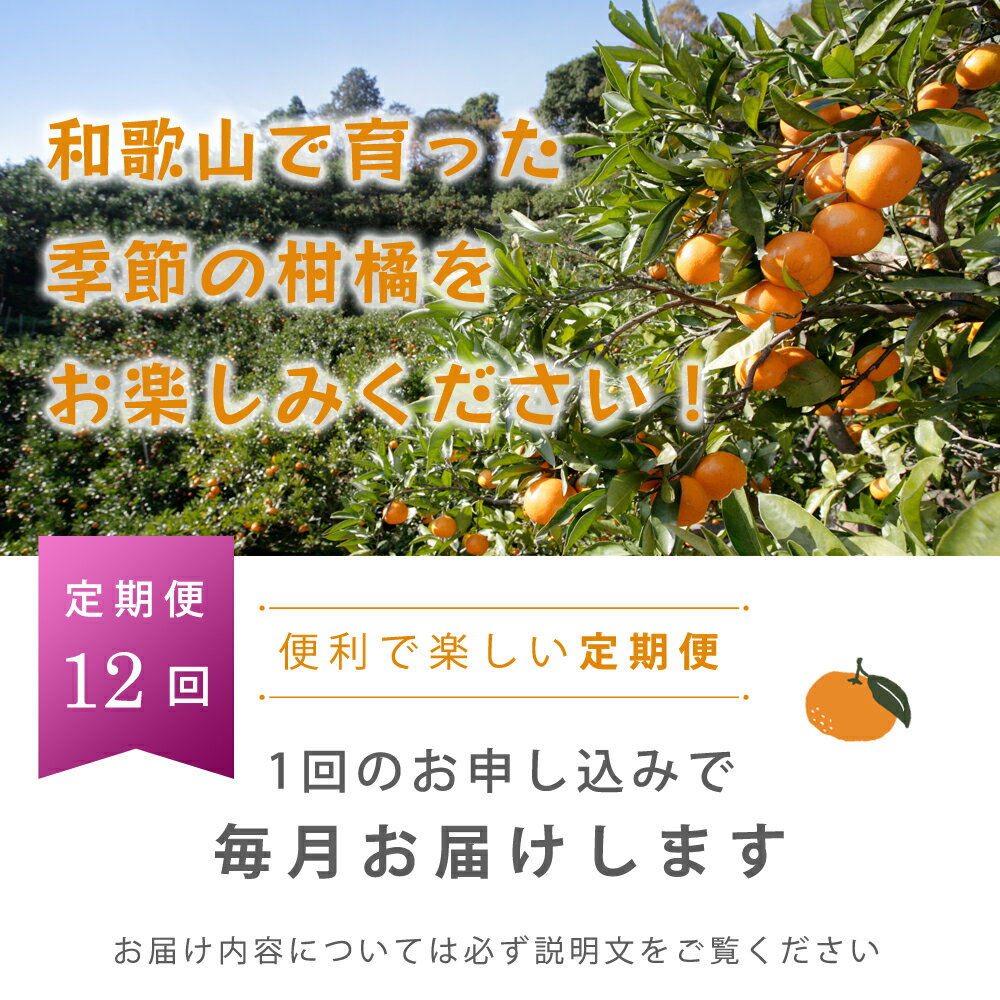 【ふるさと納税】厳選★季節の柑橘定期便 5kg【毎月・計12回】【頒布会】【ミカン 蜜柑 柑橘 温州みかん 和歌山 定期便 頒布会】