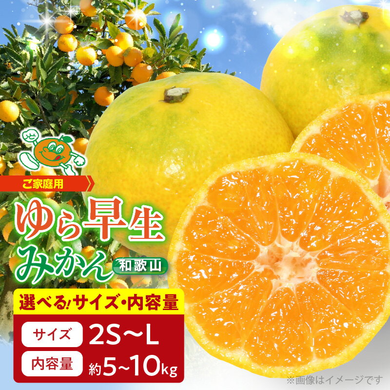 楽天市場】みかん 5kg 送料無料 宮川早生の通販