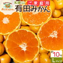 【ふるさと納税】【先行予約】【ご家庭用】和歌山 有田みかん 約10kg Lサイズ【湯浅町】【ミカン 蜜柑 柑橘 温州みかん 和歌山 有田 大粒】