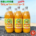 【ふるさと納税】和歌山有田産100% うんしゅうみかんジュース 970ml × 6本セット【和歌山 ミカンジュース ストレート 果汁100%】