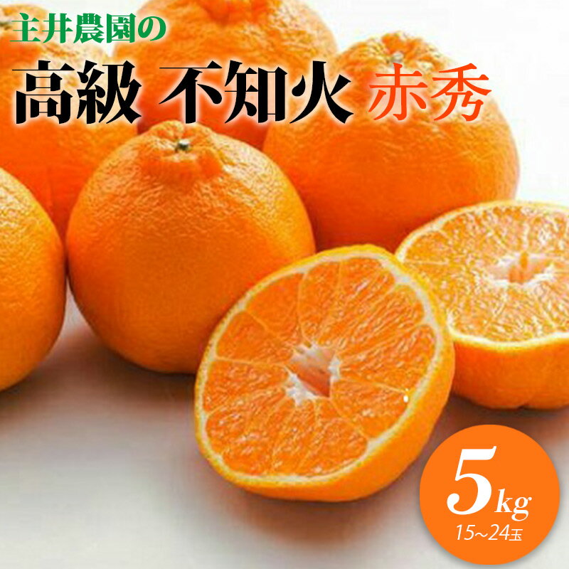 【ふるさと納税】【限定】 ふるさと納税 デコポン 主井農園の高級 不知火 (赤秀 15～24玉 約5kg)のサムネイル