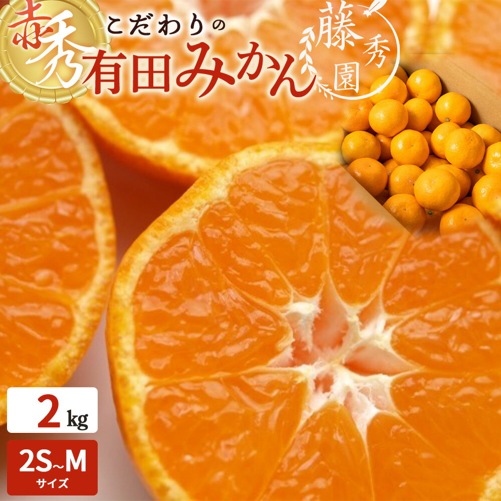 【ふるさと納税】【2025年先行予約