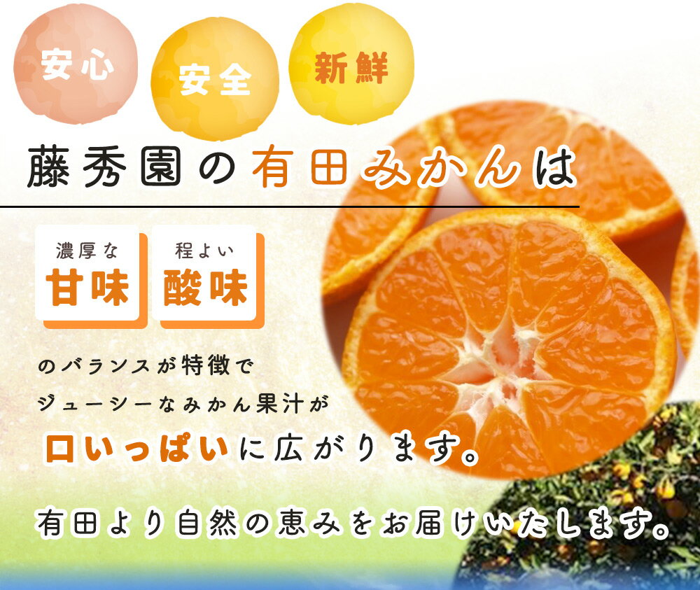 【ふるさと納税】【2025年先行予約】【限定】 こだわりの 有田みかん 赤秀 5kg 藤秀園 みかん 温州みかん 和歌山 有田 送料無料