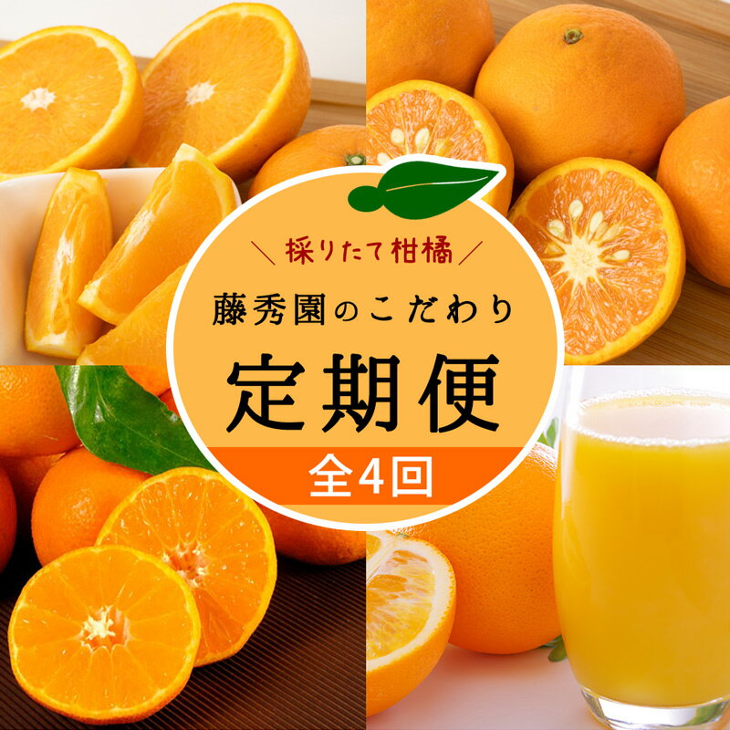 [限定] [定期便 4回]こだわりの定期便 藤秀園 [ミカン 蜜柑 柑橘 温州みかん 和歌山 有田][みかん 柑橘 定期便 頒布会 和歌山]