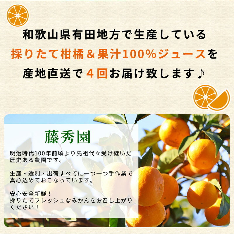 【ふるさと納税】【限定】 【定期便 4回】こだわりの定期便 藤秀園 【ミカン 蜜柑 柑橘 温州みかん 和歌山 有田】【みかん 柑橘 定期便 頒布会 和歌山】