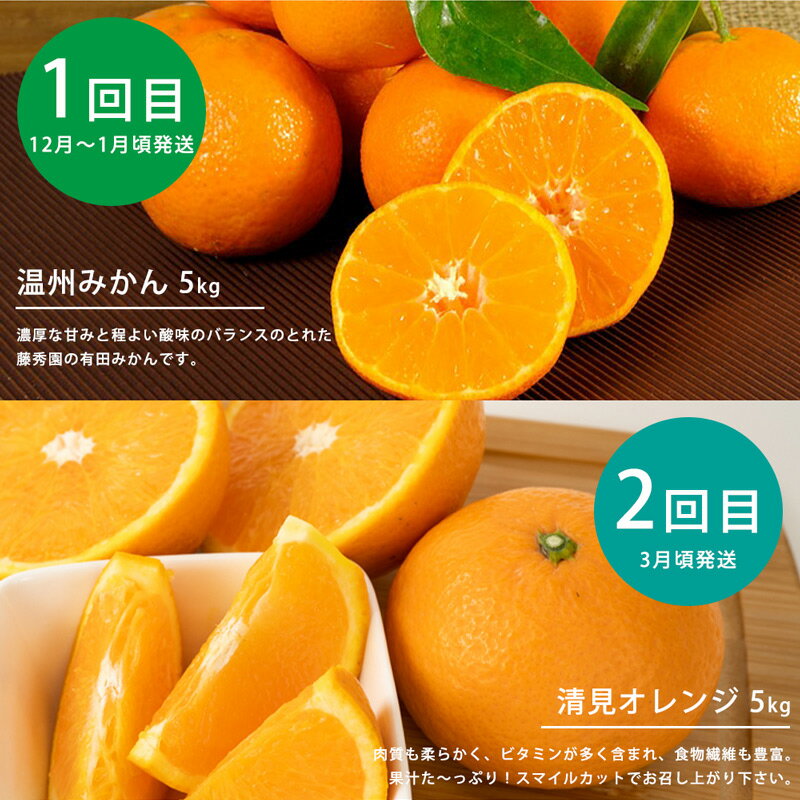 【ふるさと納税】【限定】 【定期便 4回】こだわりの定期便 藤秀園 【ミカン 蜜柑 柑橘 温州みかん 和歌山 有田】【みかん 柑橘 定期便 頒布会 和歌山】