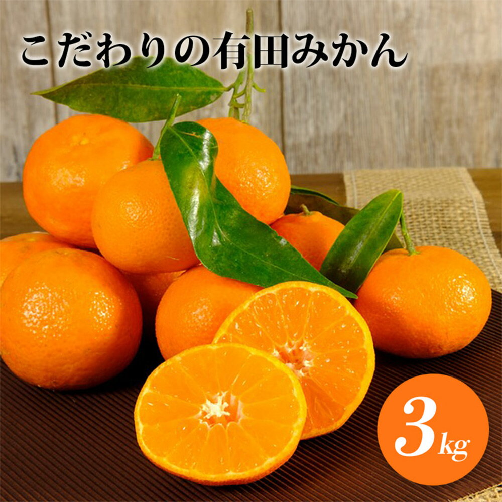 【ふるさと納税】こだわりの 有田みかん 3kg 藤秀園 【ミカン 蜜柑 柑橘 温州みかん 和歌山 有田 楽天限定】【ミカン 蜜柑 柑橘 温州みかん 和歌山 有田】のサムネイル