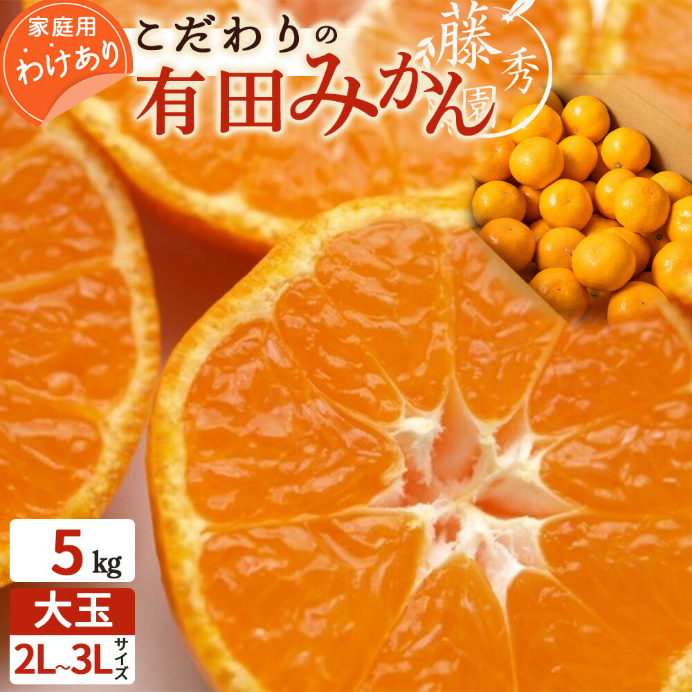 [2025年先行予約][限定] こだわりの 有田みかん 大玉 5kg (2L〜3Lサイズ) [訳あり 家庭用]みかん 温州みかん 和歌山 有田 大玉 送料無料