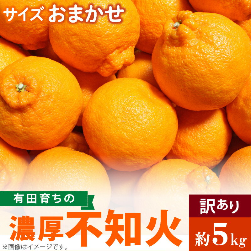 【ふるさと納税】 先行予約 有田育ちの濃厚 不知火 デコポンと同品種 訳あり 家庭用 5kg