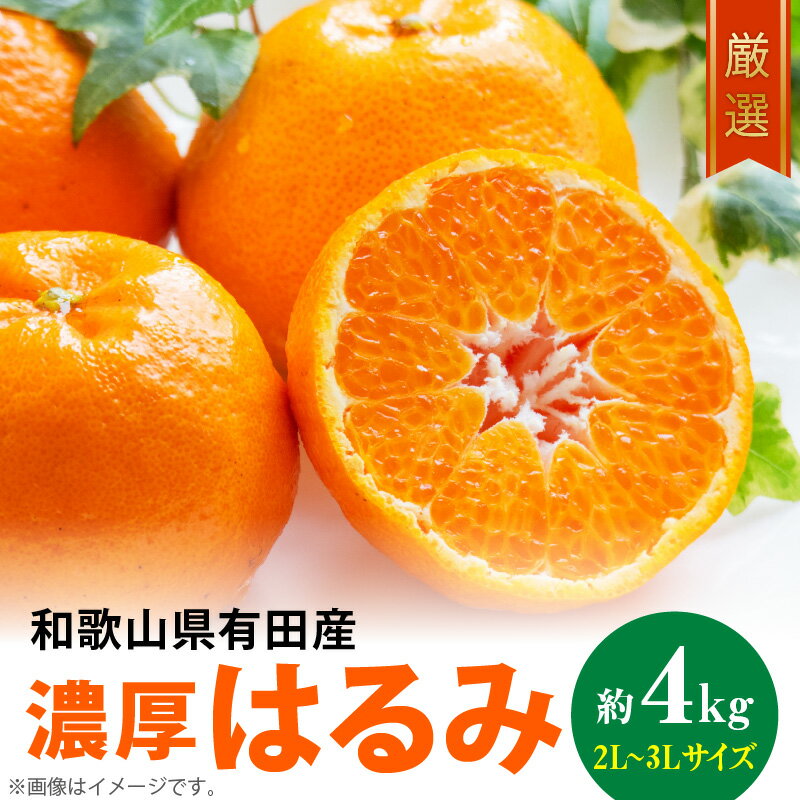 楽天市場】和歌山はるみみかんの通販