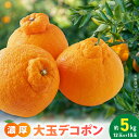 【ふるさと納税】【2026年先行予約】【限定】 デコポン 約 5kg 大玉 12玉 15玉 おまかせ 不知火 濃厚 甘味 ほどよい 酸味 バランス 抜群 味わい 大人気 有田産 厳選 フルーツ 果物 柑橘 果実 国産 食品 食べ物 おやつ デザート お取り寄せフルーツ 和歌山県 湯浅町 送料無料