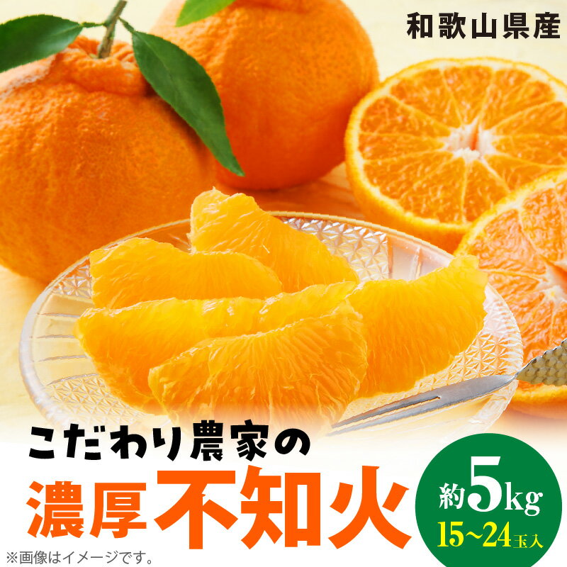 【ふるさと納税】不知火 約5kg 15 ～ 24玉 デコポン こだわり 濃厚 甘い 香り 酸味 果実 柑橘 果物 フルーツ 国産 食品 食べ物 お取り寄せ 農家直送 有田マルシェ 和歌山 湯浅町 有田産 送料無料のサムネイル