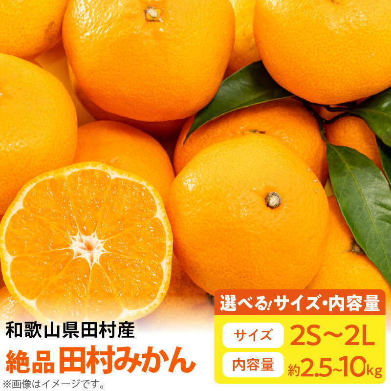 【ふるさと納税】【限定】【和歌山特産品】【プレミアムブランド】絶品！ 田村みかん 選べるサイズ&容量 2S ～ 2Lサイズ 2.5kg ～ 10kg【ミカン 蜜柑 柑橘 温州みかん 有田みかん 和歌山】のサムネイル