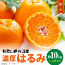 【ふるさと納税】【2026年先行予約】和歌山有田の濃厚 はるみ 10kg (SまたはMサイズ)【ハルミ 春見 ミカン 蜜柑 柑橘 和歌山 有田】