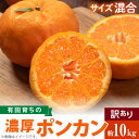 【ふるさと納税】【限定】 【2026年先行予約】【極甘柑橘】 有田育ちの 濃厚 ポンカン 【訳あり 家庭用】10kg (サイズ混合)