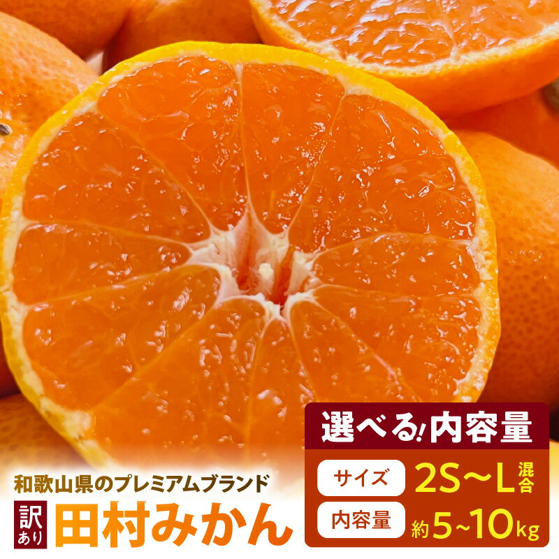 [限定] 田村みかん 選べる 容量 サイズ 約5kg〜 約10kg サイズ混合 みかん ご家庭用 訳あり 不揃い 和歌山プレミアムブランドみかん 小玉 中玉 大玉 フルーツ 果物 和歌山 湯浅町 送料無料
