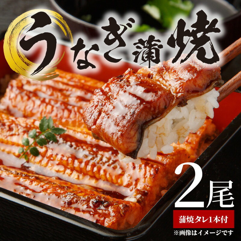 うなぎ蒲焼 2本 角長特製蒲焼タレ1本 セット うなぎ 蒲焼き タレ うな丼 うな重 ひつまぶし 土用 丑の日 国産 水産加工品 魚介 海鮮 海産物 食品 食べ物 冷凍 和歌山県 湯浅町 お取り寄せ お取り寄せグルメ 送料無料