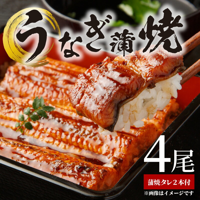 うなぎ蒲焼 4尾 & 蒲焼タレ 2本 セット 国産 安全 ふっくら 鰻 特製 タレ 丑の日 土用 蒲焼き 関西風 冷凍 贈答 贈り物 ギフト 急速冷凍 うな丼 う巻き ひつまぶし うなむすび しいば水産 角長 お取り寄せ 和歌山県 湯浅町 送料無料