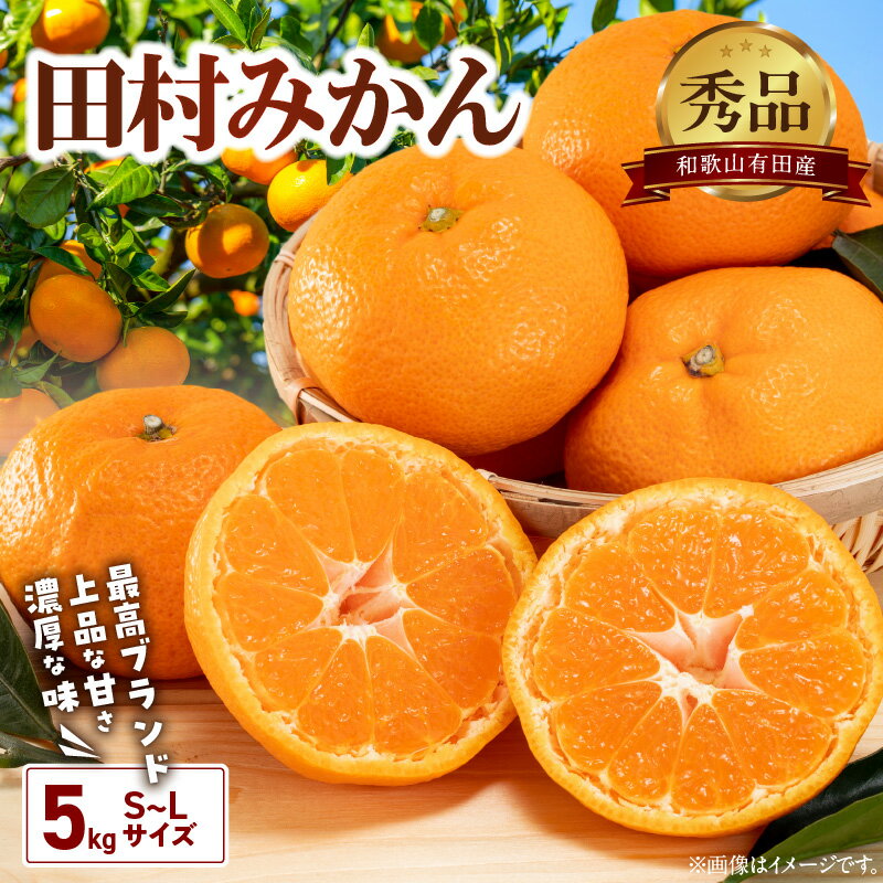 [2025年先行予約] 田村みかん 約 5kg S 〜 Lサイズ おまかせ 秀品 有田 高級みかん 高級 ギフトにもオススメ 贈り物 贈答 フルーツギフト フルーツ 果物 果実 みかん 温州みかん 有田みかん お取り寄せ 産地直送 送料無料 和歌山県 湯浅町